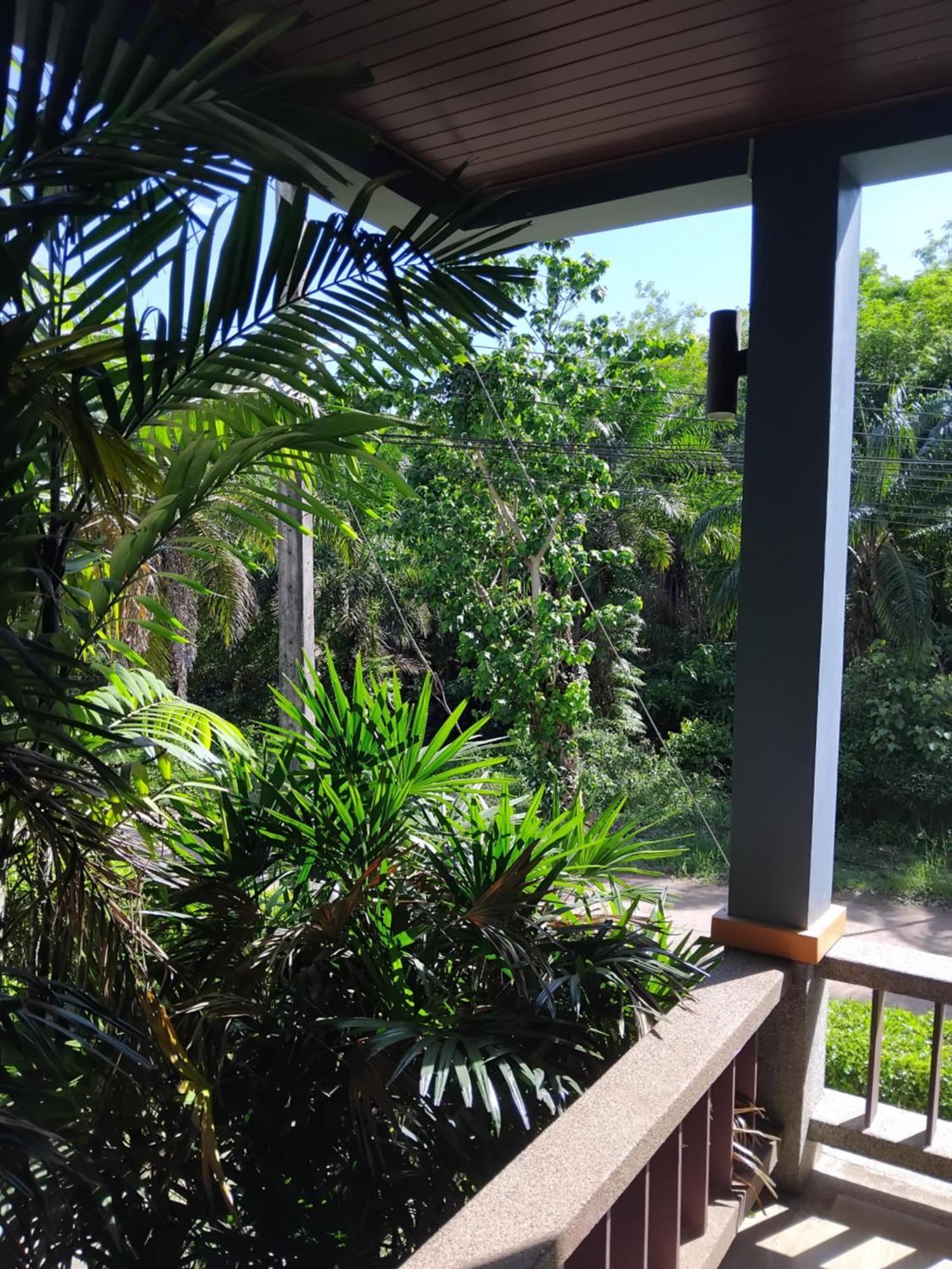 King Room Garden View,1591366900:JPEG