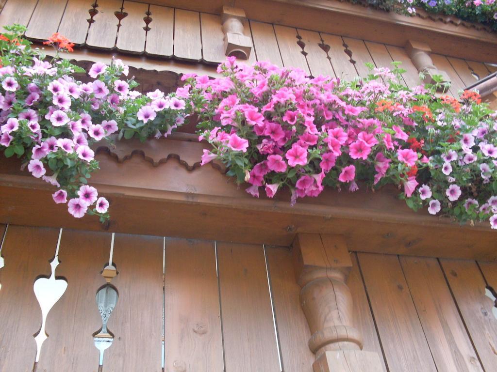 Apartment mit 3 Schlafzimmern, Balkon und Terrasse