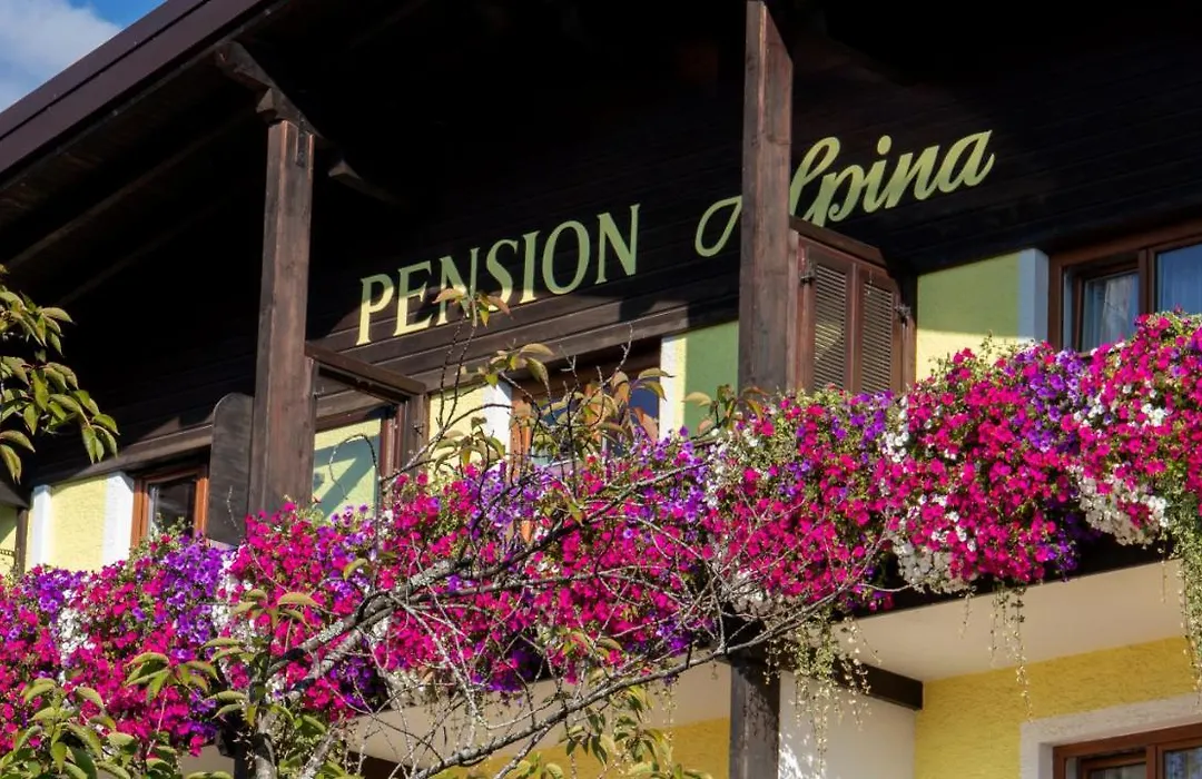 Cafe Pension Alpina-1