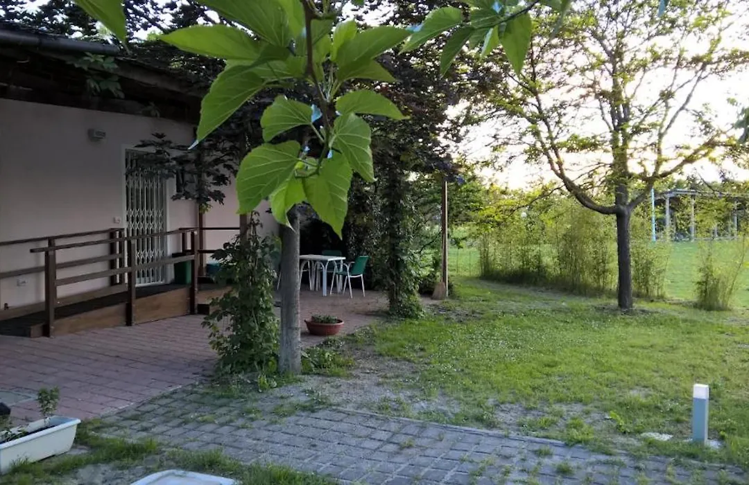 Rose Canine B&B-1