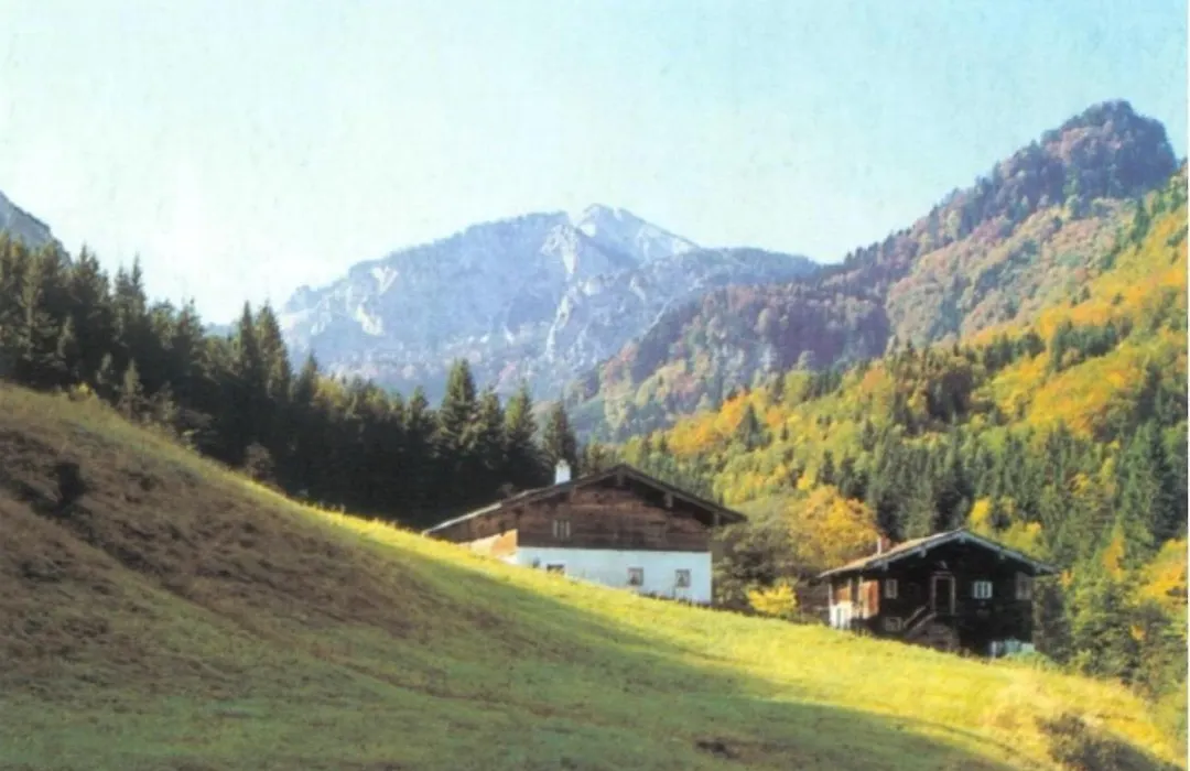 Hotel Mariandl-1