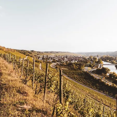 Weingut Pastoriushaus - Artur Steinmann-3