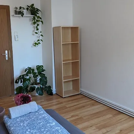 Single Room Near The Black Forest-3