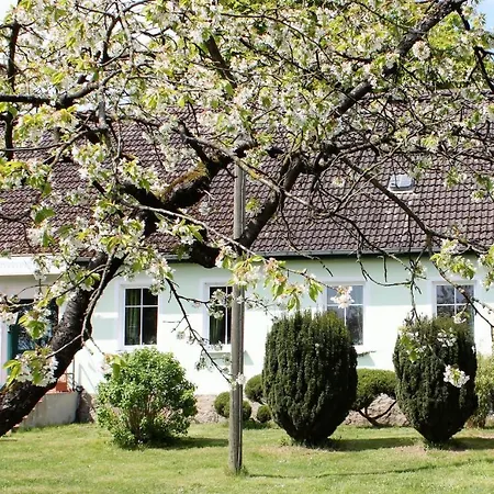 Pension Gestüt Lindenhof-3