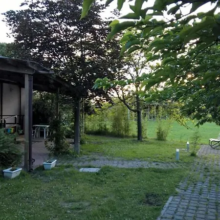 Rose Canine B&B-2