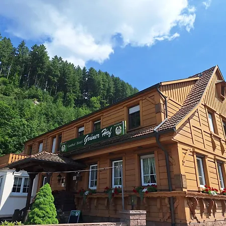 Grüner Hof-3