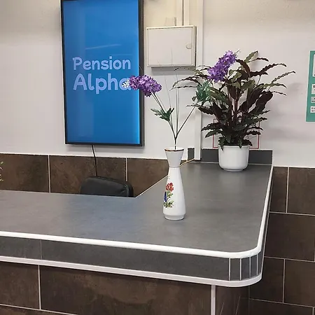 Pension Alpha-3