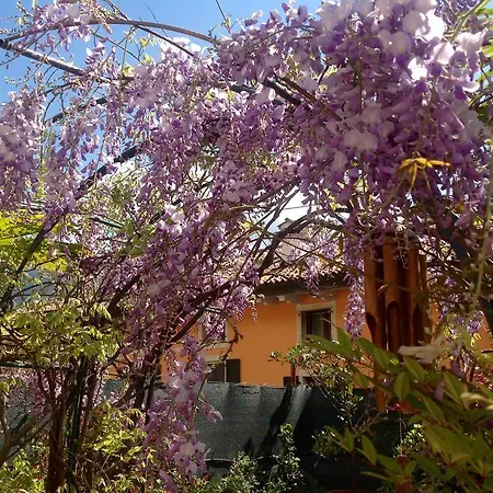 Guest House Santiago-2
