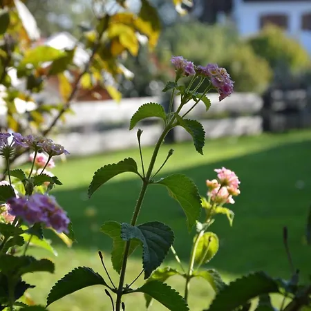 Pension Willibald-2