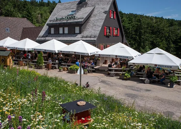 Hotel nahe College: Zur grossen Tanne