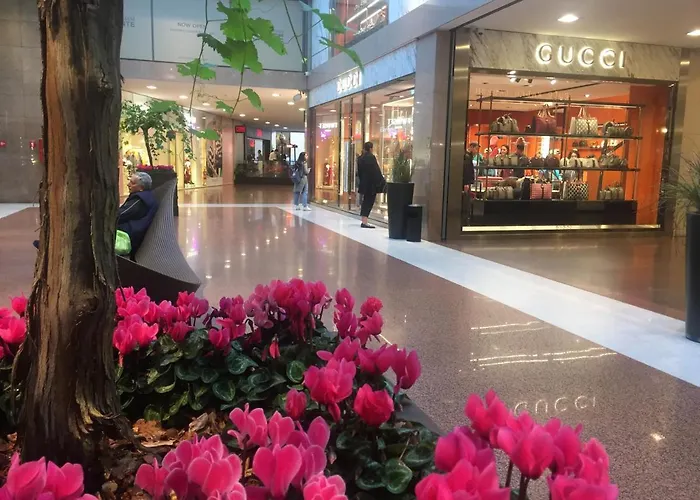 B&B Galleria Cavour