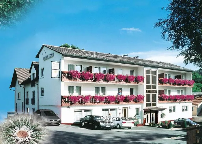 Pension und Fewo Hohe Rhön