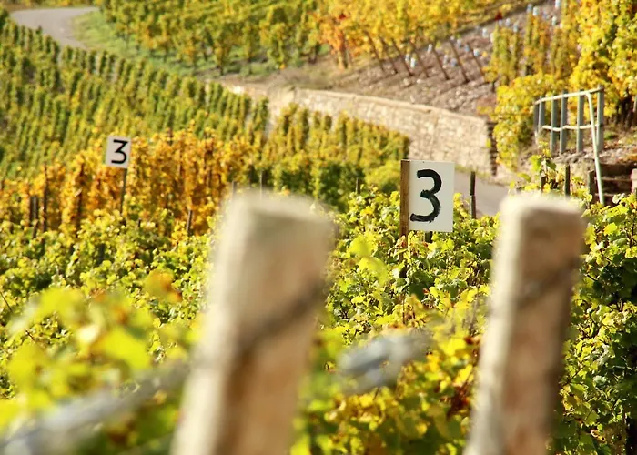 Wein und Gästehaus Hüls