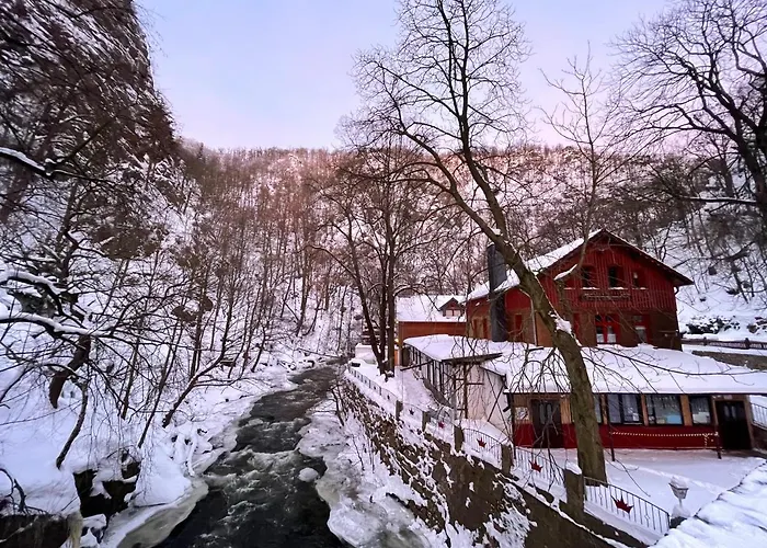 3 SterneHotel Koenigsruhe