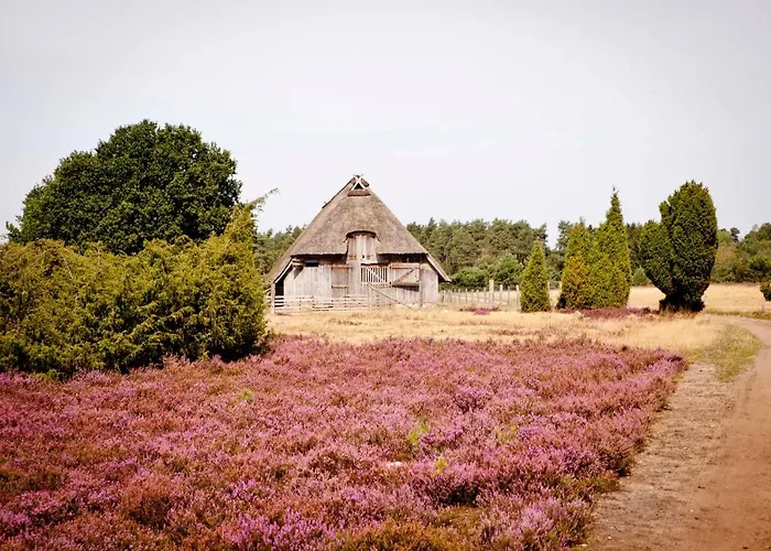 Lütte Pension