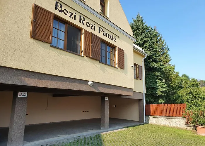 Bozi Rozi Panzio