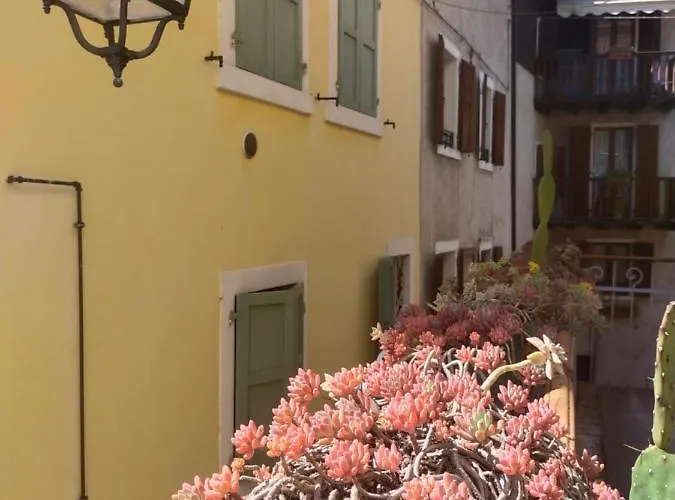 La Tana Dell'Artista