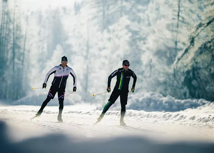 Ferienvermietung: Ferienhaus Oberried