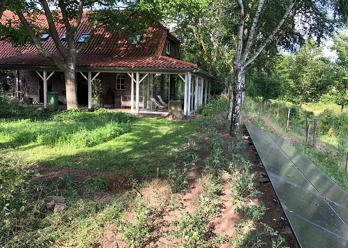 de Zeilende kraay