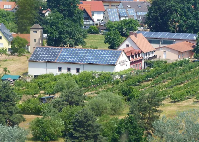 Weinbau&Pension – Familie Birgit und Bernhard Meusert