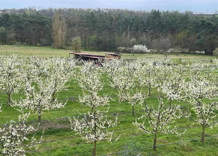 Weinbau&Pension – Familie Birgit und Bernhard Meusert