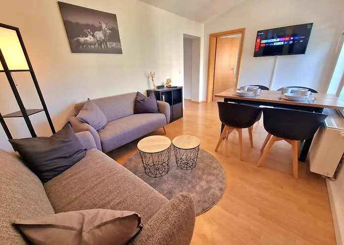 FEWO Anne Großzügige Wohnung im Zentrum von Chemnitz