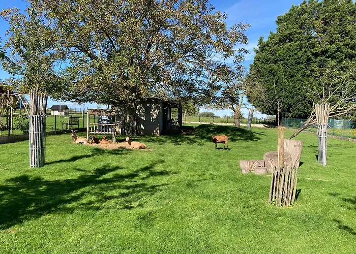 B&B Den Biesthoek