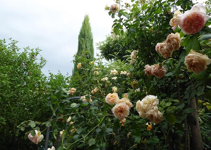 Pension Zur Rose