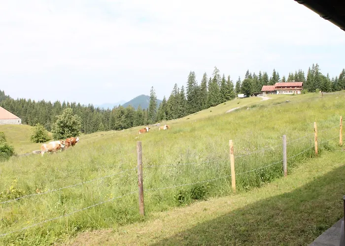 3-Sterne-Hotel: Winklmoos Sonnenalm