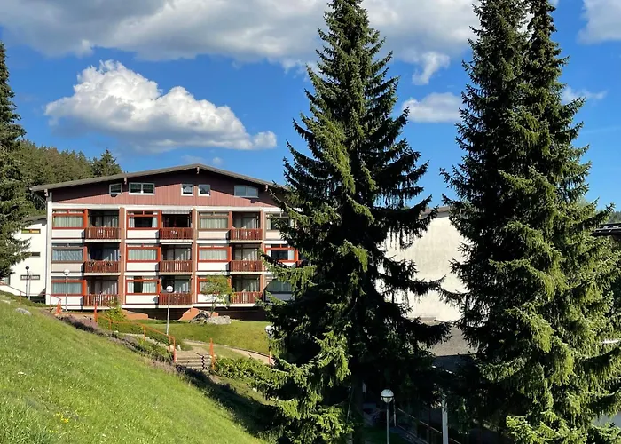 Apartment App- 1406 - Ex-Kurhotel Schluchsee By Interhome