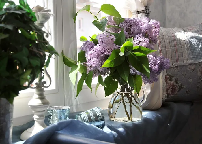 Resort: Pension Altstadt Mönch in top Lage direkt in der Altstadt incl Frühstück