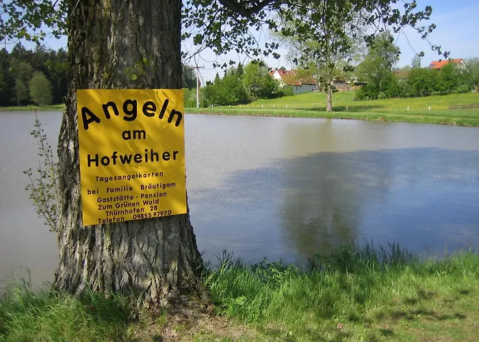 Pension Zum Grünen Wald