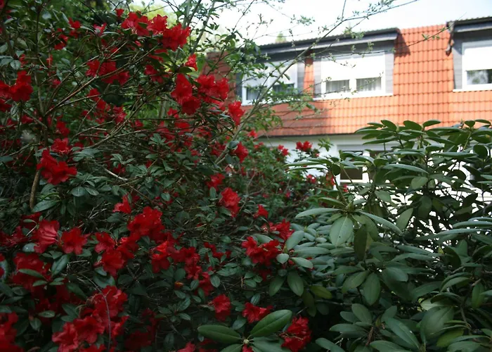 3-Sterne-Hotel: Hotel-Restaurant Fasanerie