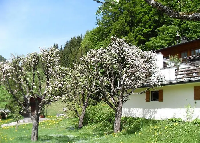 Gasthaus - Pension - Café Dörfl