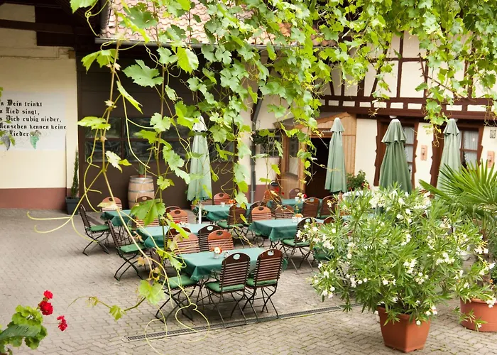 Weingut und Gästehaus Vongerichten