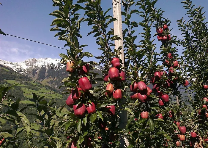 Zimmervermietung Gröberhof