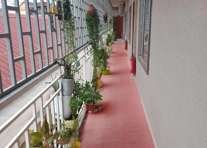 Naraya Guesthouse
