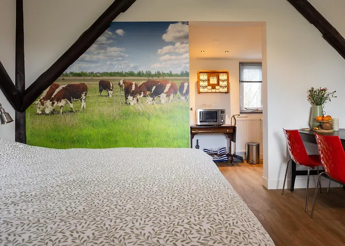 Studio Hooischuur Alkmaar/Bergen