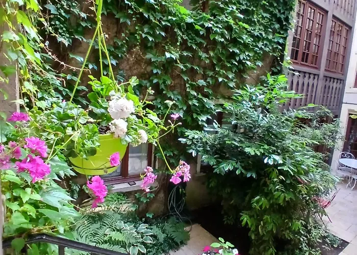 Chambres D'Hotes Le Patio D'Alain Et Veronique Luneville