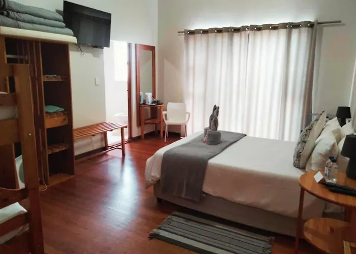 The Mole Guesthouse