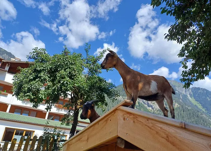B&B: Ferienhof Schöne Aussicht