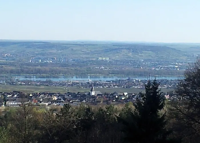 Zum Rebhang