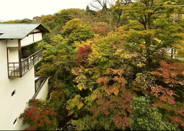 Luxushotel: Gora Kadan