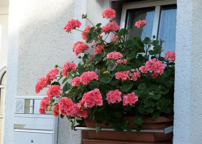 Pension Tauscher