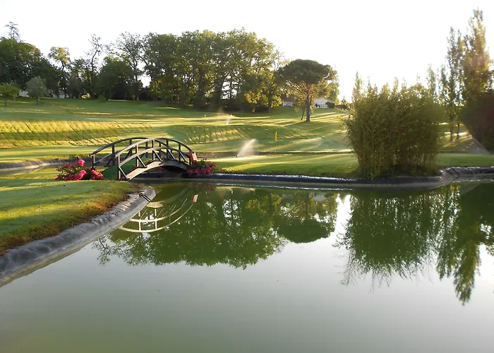 Haustierfreundliches Hotel: Hotel De Seze & Spa Bordeaux Centre