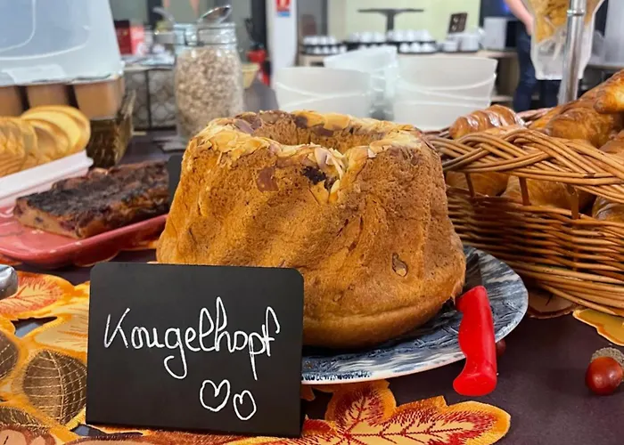 Haustierfreundliches Hotel: Hotel Primo Colmar Centre