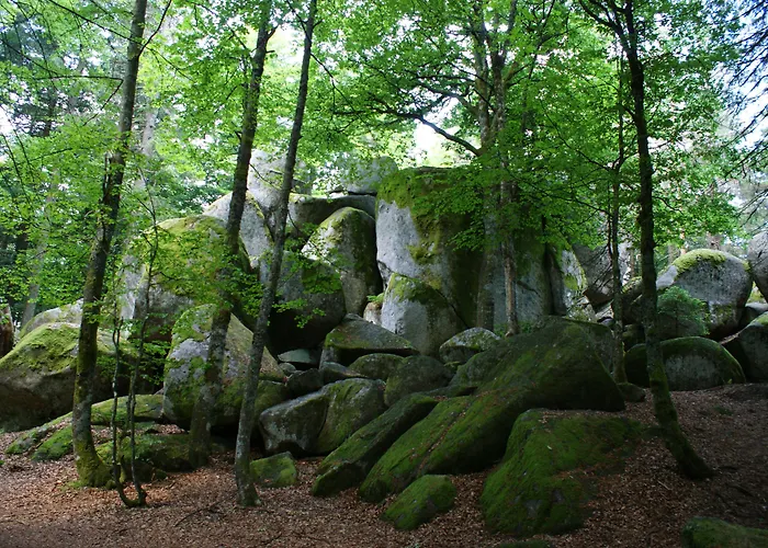Höhengasthaus Kolmenhof an der Donauquelle