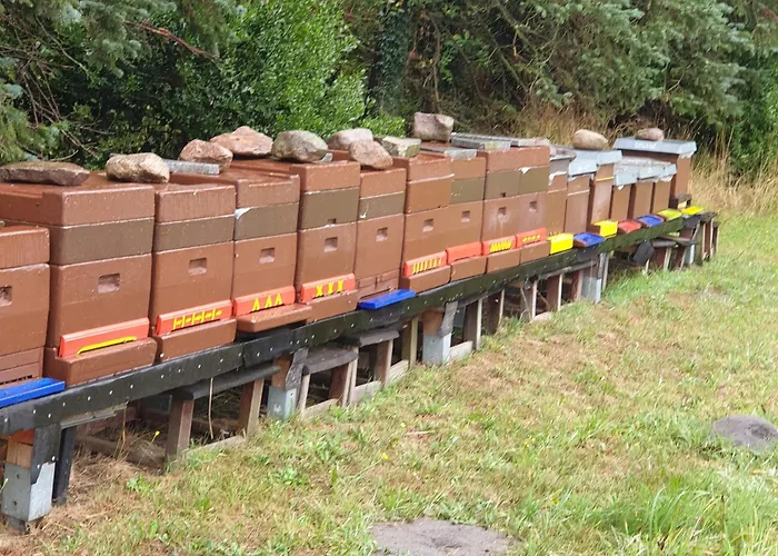 Ferienhaus-Windflüchter Hirtenweg 3B