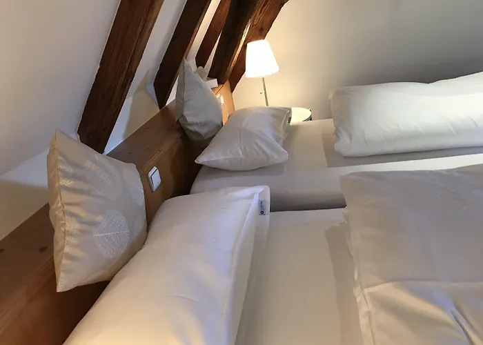 Hotel Hohe Schule