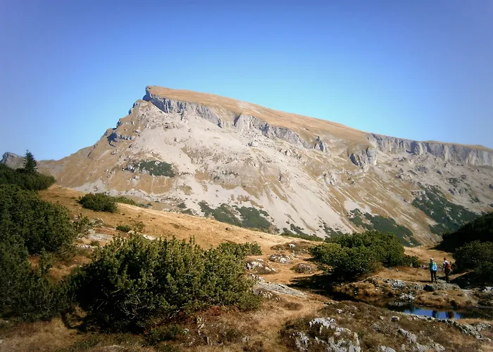 3-Sterne-Hotel: Hotel Baeren